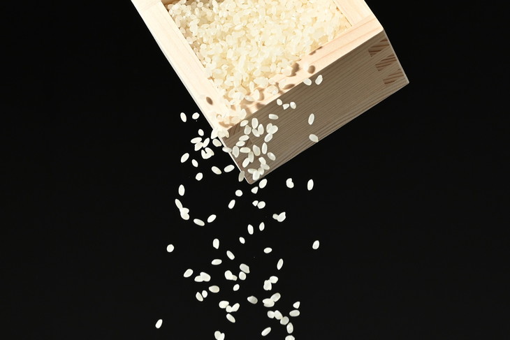 えびちゃんちの米　さくら市葛城産　5Kg ≪令和6年産 米 お米 白米 ご飯 栃木県産 送料無料≫