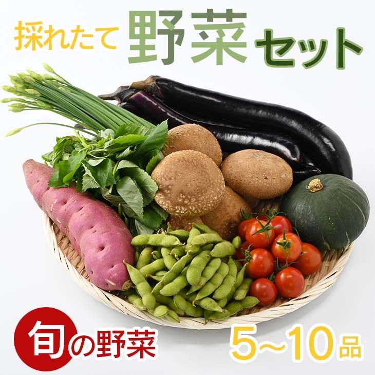 【産地直送】採りたて野菜セット≪旬の野菜 新鮮 詰め合わせ 栃木県産 国産≫