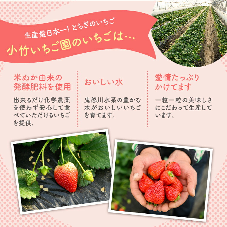 【先行予約】いちご とちあいかセット 270g×4パック（1.08kg以上）｜いちご イチゴ 苺 先行予約 栃木県 果物 くだもの フルーツ とちあいか 新鮮 贈答 ギフト ※2026年1月上旬?4月中旬頃に順次発送予定