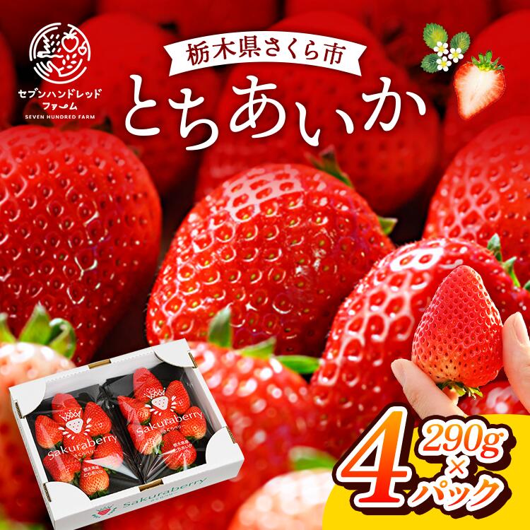 〈数量限定〉【先行予約】さくら市産イチゴ（とちあいか）290g×4パック｜いちご イチゴ 苺 先行予約 栃木県 果物 くだもの フルーツ とちあいか 新鮮 贈答 ギフト ※2025年12月下旬?2026年3月下旬頃に順次発送予定