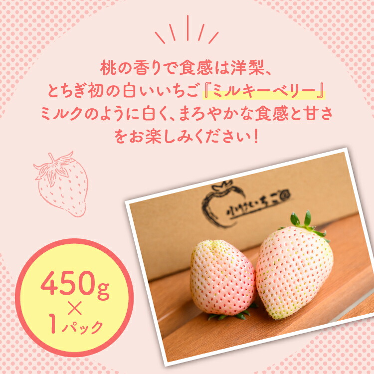 【先行予約】いちご ミルキーベリーセット 450g×1パック ｜いちご イチゴ 苺 先行予約 栃木県 果物 くだもの フルーツ ミルキーベリー 新鮮 贈答 ギフト 高級  ※2026年1月中旬?4月中旬頃に順次発送予定