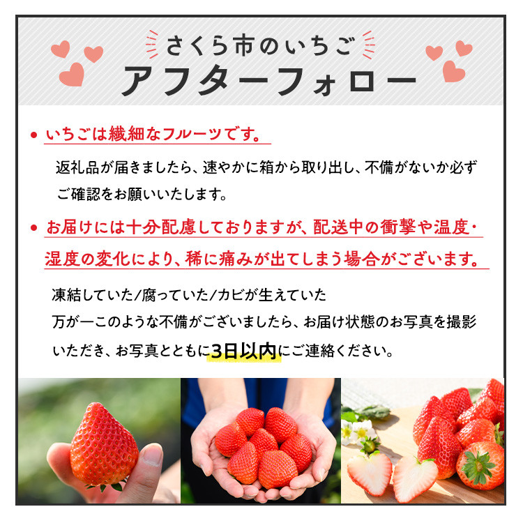 栃木県産とちあいか　500g　イチゴ 苺 栃木県 果物 くだもの フルーツ スイーツ ギフト｜栃木県共通返礼品 栃木県産 ※2027年1月～発送