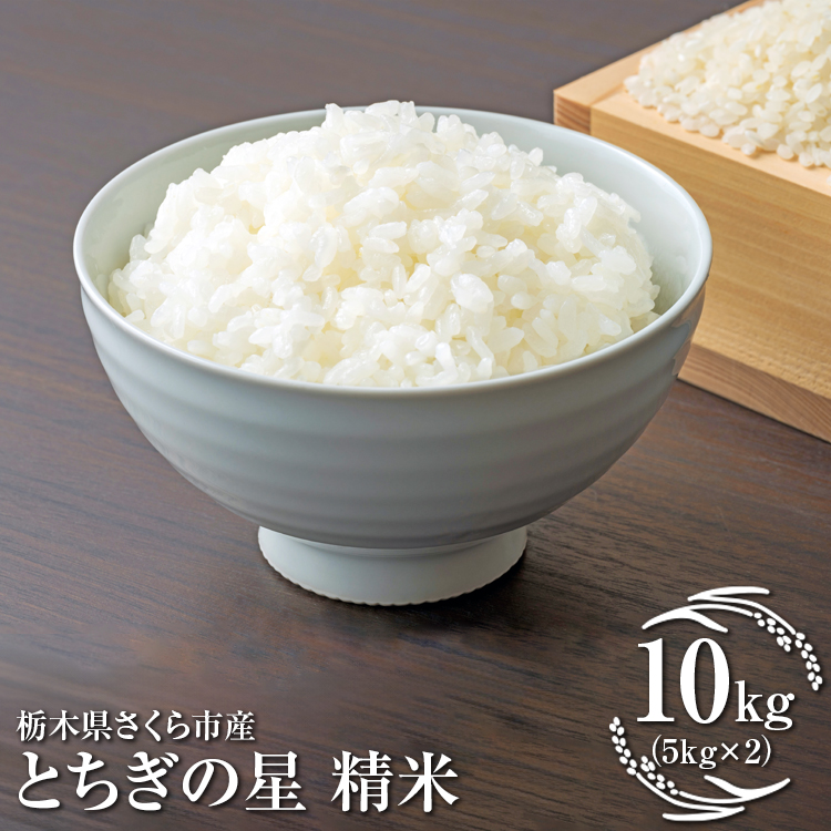 令和7年度　栃木県さくら市産とちぎの星　精米10kg（5kg×2）｜米　白米　コメ　こめ　菜っ葉館※2025年11月上旬頃から順次発送予定