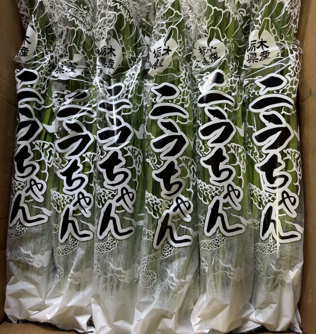 栃木県産こだわりニラ100g×30束 ｜ さくら市 にら 韮 野菜 国産