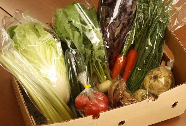 【産地直送】採りたて野菜と昔ながらの手づくり加工品セット≪旬の野菜 詰め合わせ 野菜セット 栃木県産 国産≫