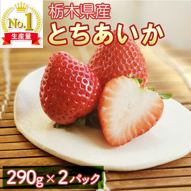いちご（とちあいか）290g×2パック 喜連川産 ｜ 道の駅きつれがわ 苺 イチゴ 先行予約 数量限定 栃木県 さくら市 果物 くだもの フルーツ スイーツ プレゼント ※2025年1月上旬?2月下旬頃に順次発送予定
