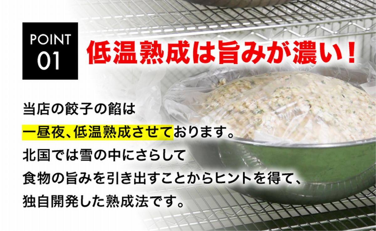 「宇都宮餃子館」お肉餃子 960ｇ（４８個）≪ギョーザ 冷凍餃子 冷凍食品 グルメ 食品 惣菜 中華惣菜 点心 中華≫