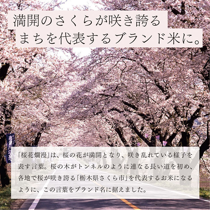 栃木県コシヒカリ 「桜花爛漫」 玄米 5kg 【ご飯 お米 コメ コシヒカリ 栃木県産 さくら市産】 ※北海道・沖縄・離島への配送不可 ※着日指定不可