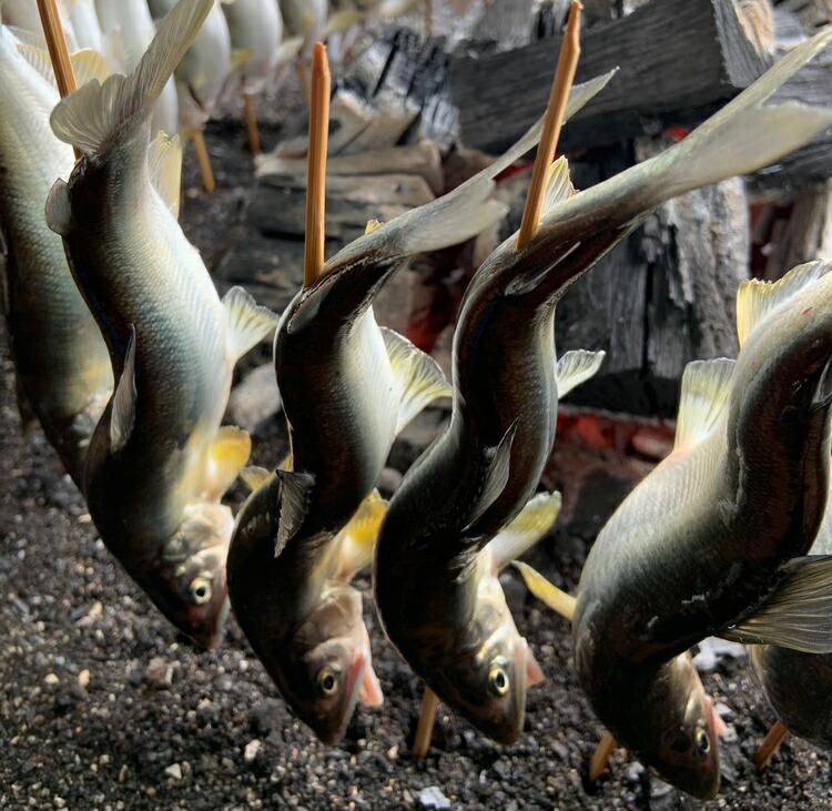 地下水育ち　炭火焼き鮎15尾入り