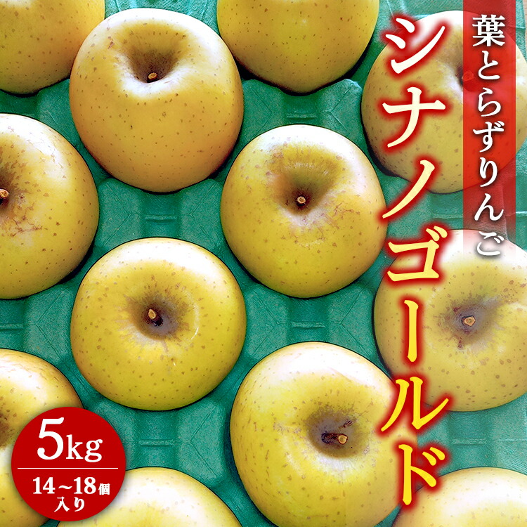 葉とらずりんご【シナノゴールド】5kg 14個?18個入り【9月30日受付終了】 林檎 リンゴ フルーツ 果物 数量限定 ※2025年10月中旬?10月下旬頃に順次発送予定 ※離島・沖縄への配送不可