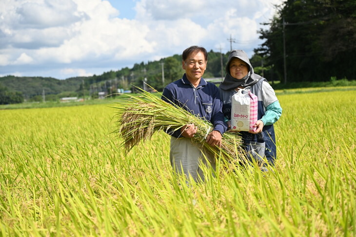 【数量限定】令和5年産　ミルキークイーン10kg（5kg×2）≪米 お米 白米 ご飯 栃木県産≫ ※2023年10月上旬から順次発送予定 ※着日指定不可