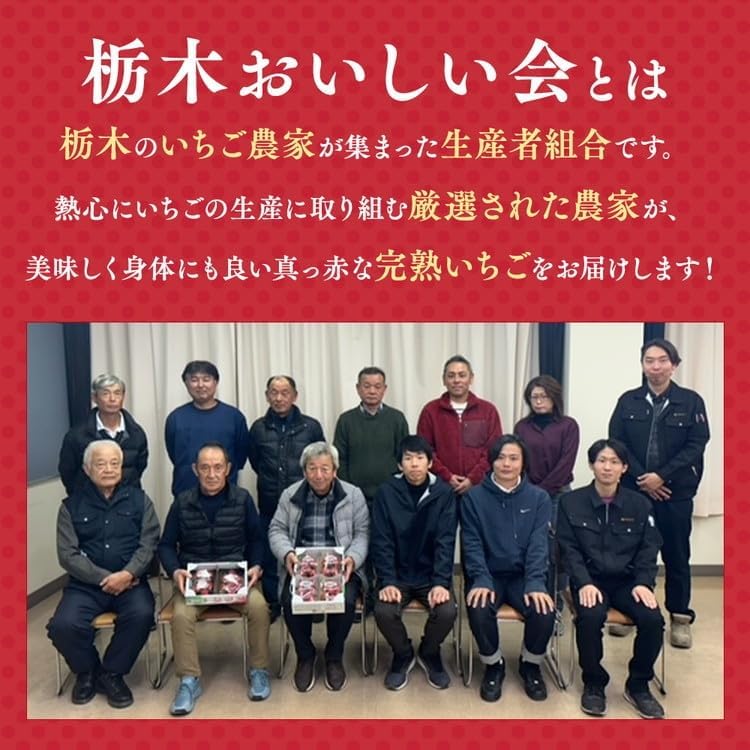栃木おいしい会のいちご（とちあいか）260g×6パック（1560g）｜栃木県共通返礼品 栃木県産 ※2027年1月～発送