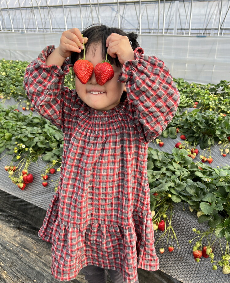 58ロハスクラブ　BERRY GARDENいちご狩り券 ※2024年12月上旬?2025年4月下旬頃に順次発送予定
