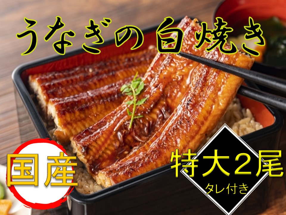 国産うなぎ白焼き2尾セット（たれ付き）◆≪鰻 ウナギ 国産 国内産 タレ ふっくら しらやき おうちごはん ご褒美≫　※着日指定送不可