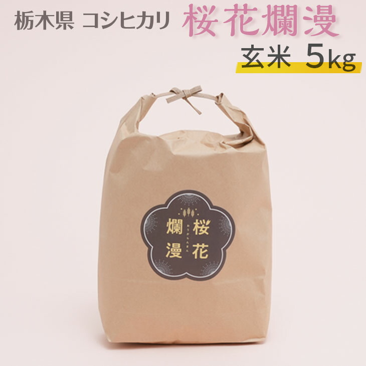 栃木県コシヒカリ 「桜花爛漫」 玄米 5kg 【ご飯 お米 コメ コシヒカリ 栃木県産 さくら市産】 ※北海道・沖縄・離島への配送不可 ※着日指定不可