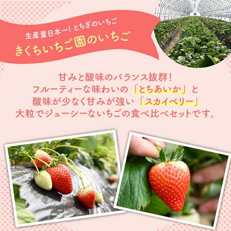 《数量限定》いちご厳選！さくら市産 とちあいか・スカイベリー食べ比べセット（290g×4パック） ｜いちご イチゴ 苺 先行予約 栃木県 果物 くだもの フルーツ とちあいか スカイベリー 新鮮 贈答 ギフト 高級 食べ比べ  ※2026年1月中旬?3月下旬頃に順次発送予定