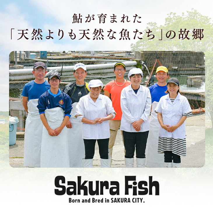 【鮎のギフトセット小】産地直送 天然仕立て おつまみ 高級 ※沖縄・離島への配送不可