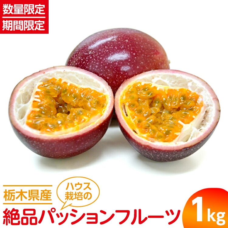 【数量限定】【期間限定】栃木県産ハウス栽培の絶品パッションフルーツ1kg ◇南国フルーツ◇ ※2025年6月下旬頃より順次発送予定