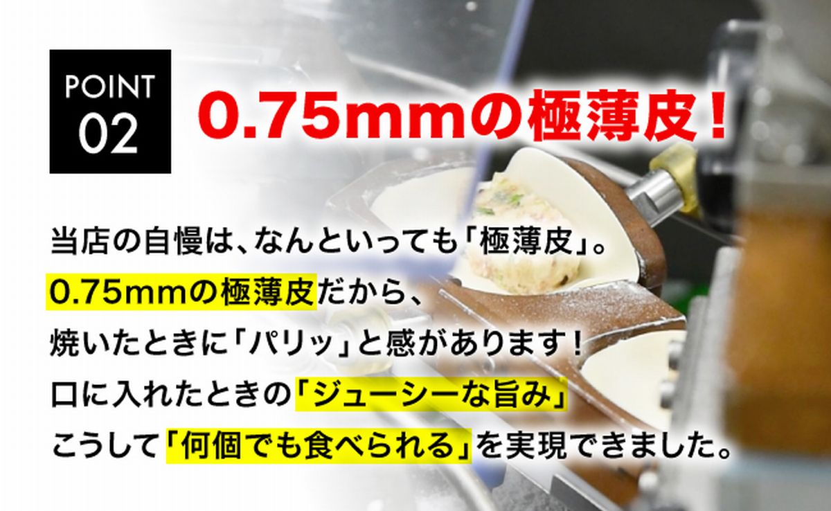 「宇都宮餃子館」シソ餃子 960ｇ（４８個）≪ギョーザ 冷凍餃子 冷凍食品 グルメ 食品 惣菜 中華惣菜 点心 中華≫