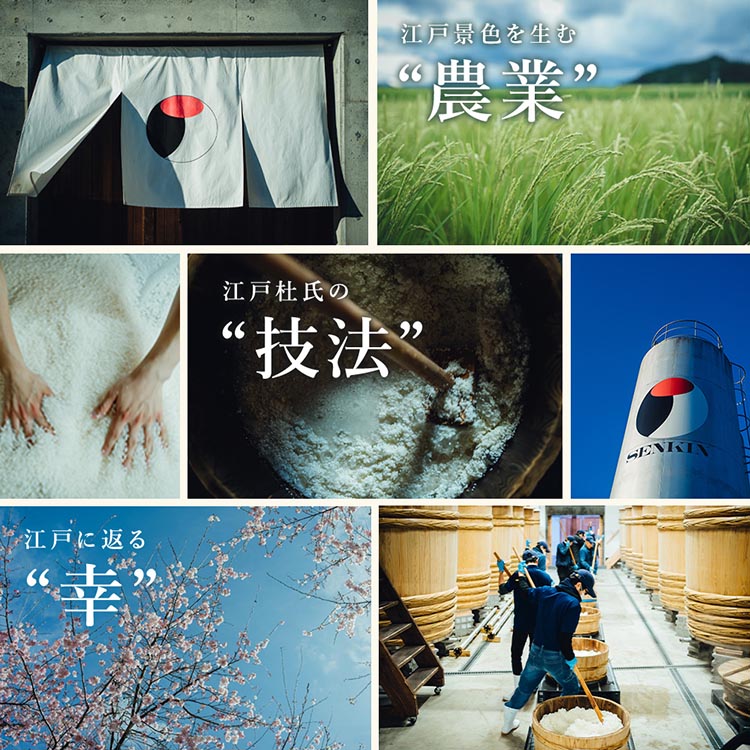 日本酒　仙禽　季節限定酒  晩夏の酒　仙禽 線香花火 2025 数量限定｜せんきん　栃木県　さくら市　送料無料
