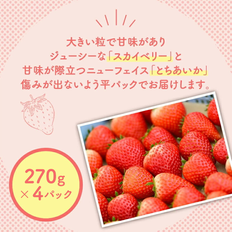 【先行予約】いちご とちあいか・スカイベリーセット 270g×4パック（1.08kg以上）｜いちご イチゴ 苺 先行予約 栃木県 果物 くだもの フルーツ とちあいか スカイベリー 新鮮 贈答 ギフト 高級 食べ比べ ※2026年1月上旬?4月中旬頃に順次発送予定
