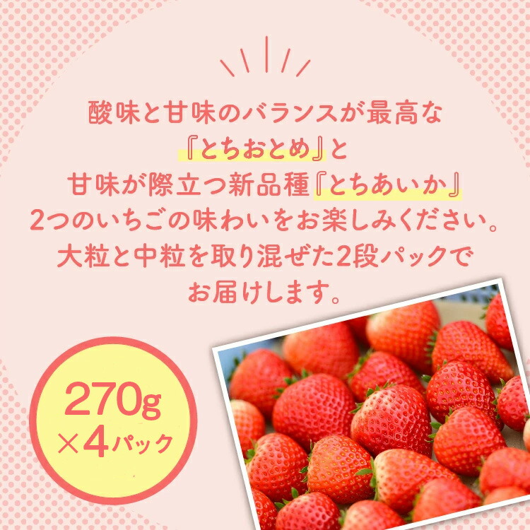 新旧2種食べ比べセット（とちおとめ、とちあいか）270g×4パック 1.08kg以上｜いちご イチゴ 苺 先行予約 栃木県 果物 くだもの フルーツ とちおとめ とちあいか 新鮮 贈答 ギフト 食べ比べ  ※2026年1月上旬?4月中旬頃に順次発送予定