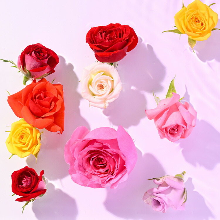 『美を食す』 Nobel Rose 生花MIX 5輪｜通年出荷 食用バラ 薔薇