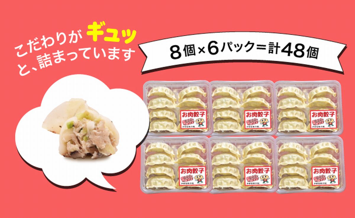 「宇都宮餃子館」お肉餃子 960ｇ（４８個）≪ギョーザ 冷凍餃子 冷凍食品 グルメ 食品 惣菜 中華惣菜 点心 中華≫