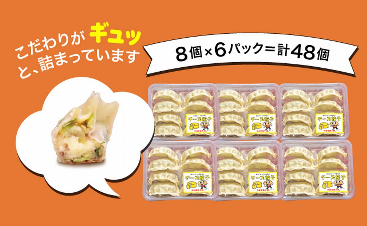 「宇都宮餃子館」チーズ餃子 960ｇ（４８個）≪ギョーザ 冷凍餃子 冷凍食品 グルメ 食品 惣菜 中華惣菜 点心 中華≫