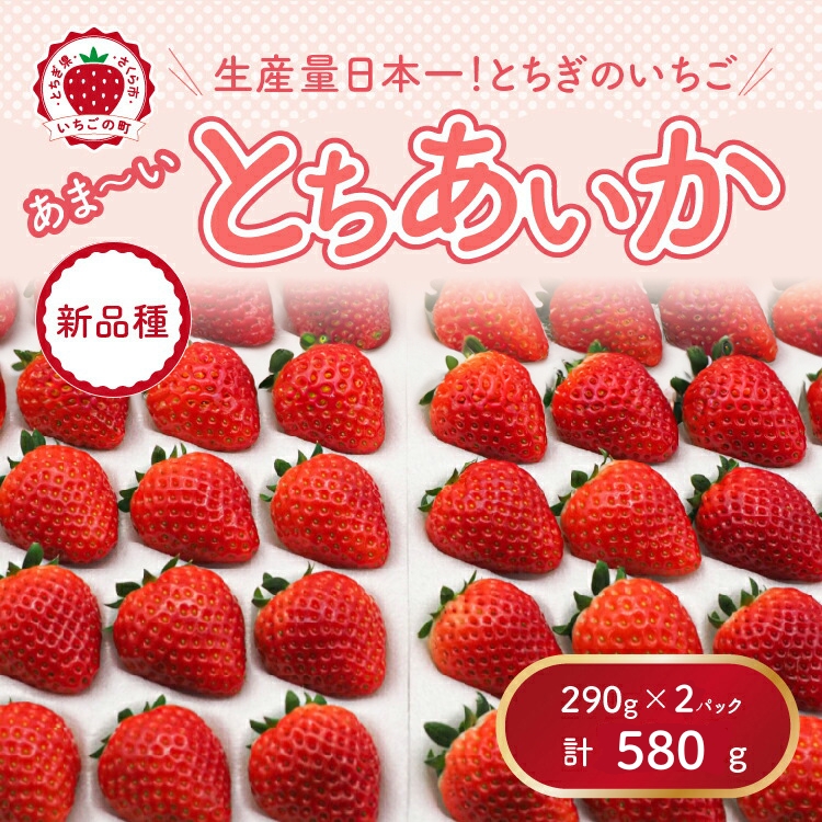 【先行予約】【数量限定】とちあいか 290g×2パック｜いちご イチゴ 苺 先行予約 栃木県 果物 くだもの フルーツ とちあいか 新鮮 贈答 ギフト 食べ比べ 真空パック ※2026年11月～発送