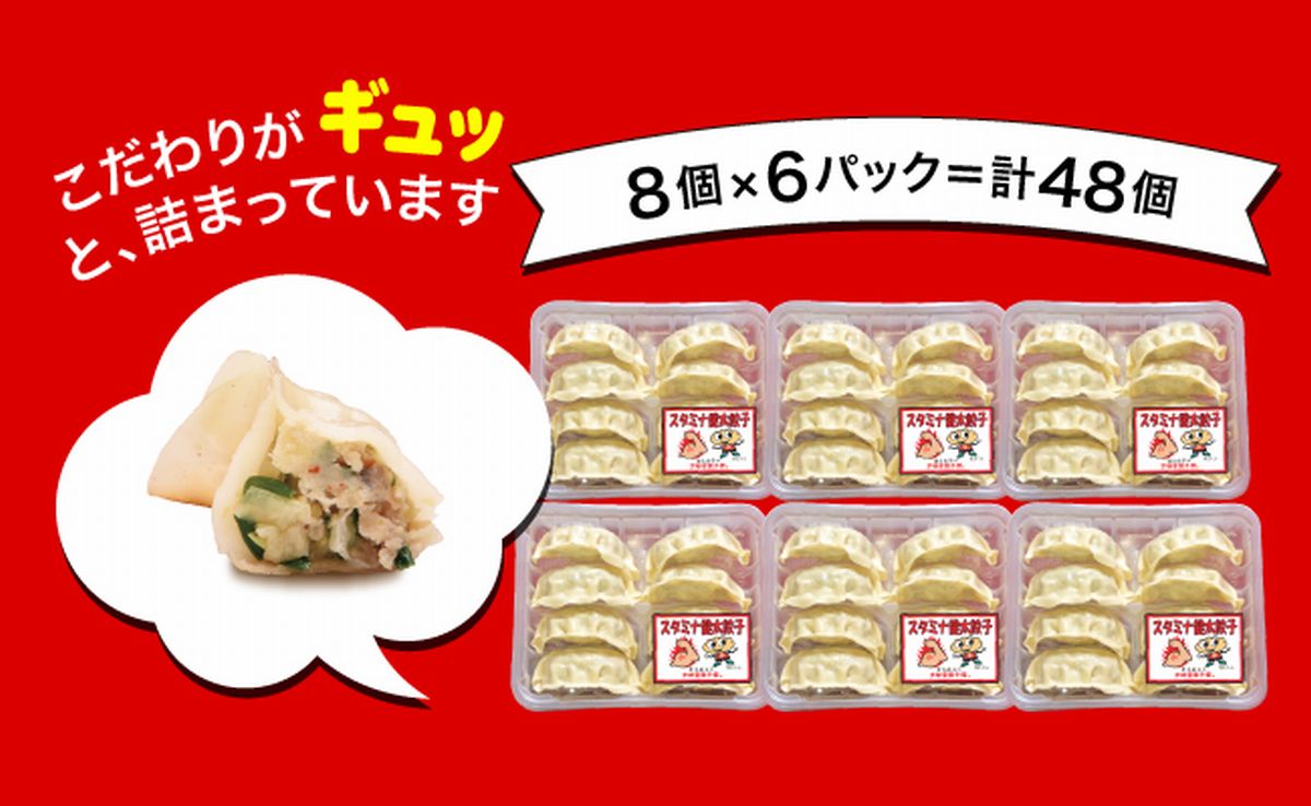 「宇都宮餃子館」スタミナ健太餃子 960g（48個）≪ギョーザ 冷凍餃子 冷凍食品 グルメ 食品 惣菜 中華惣菜 点心 中華≫