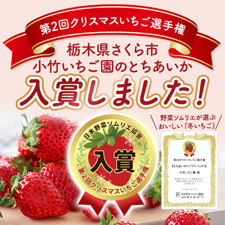 大満足4種食べ比べセット（とちおとめ、ミルキーベリー、とちあいか、スカイベリー）400g×2パック 800g｜いちご イチゴ 苺 先行予約 栃木県 果物 くだもの フルーツ とちおとめ とちあいか スカイベリー ミルキーベリー 新鮮 贈答 ギフト 高級 食べ比べ ※2026年2月上旬?4月中旬頃に順次発送予定