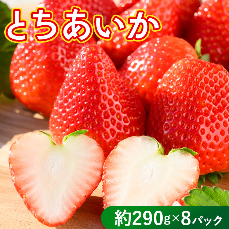 いちご（とちあいか） 290g×8パック 2.32kg以上｜先行予約 数量限定 栃木県 果物 くだもの フルーツ 苺 イチゴ ※2026年11月～発送