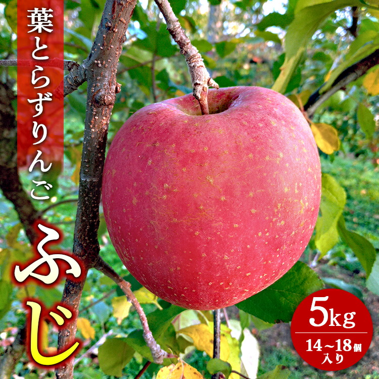 葉とらずりんご【ふじ】5kg 14個?18個入り【10月31日受付終了】 林檎 リンゴ フルーツ 果物 数量限定 ※2025年11月上旬?11月下旬頃に順次発送予定 ※離島・沖縄への配送不可
