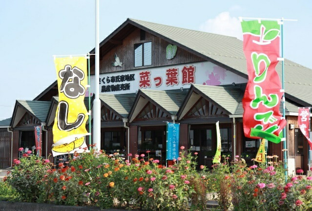 【産地直送】採りたて野菜と季節の果物セット≪旬の野菜 フルーツ 詰め合わせ 栃木県産≫