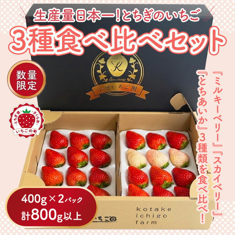 満足3種食べ比べセット（ミルキーベリー、スカイベリー、とちあいか）400g×2パック 800g｜いちご イチゴ 苺 先行予約 栃木県 果物 くだもの フルーツ とちあいか スカイベリー ミルキーベリー 新鮮  贈答 ギフト 高級 食べ比べ ※2026年2月上旬?4月下旬頃に順次発送予定