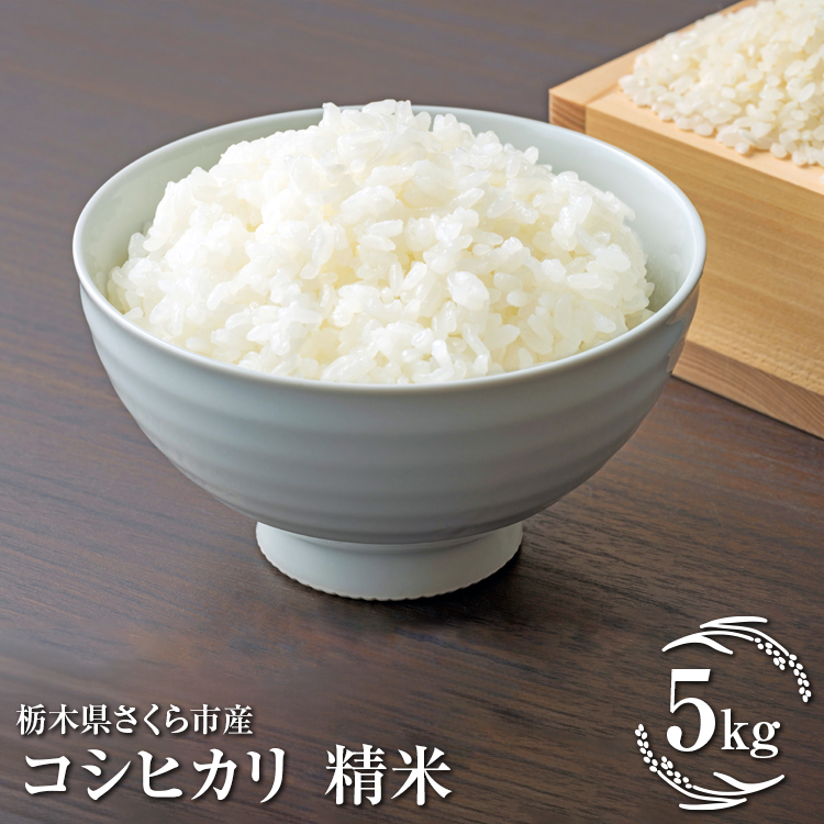 令和7年度産　栃木県さくら市産コシヒカリ 精米5kg｜米　白米　コメ　こめ　こしひかり　菜っ葉館※2025年10月中旬頃から順次発送予定