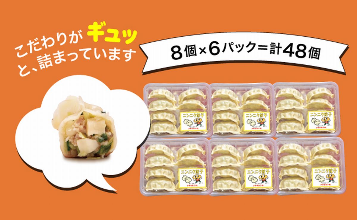 「宇都宮餃子館」ニンニク餃子 960ｇ（４８個）≪ギョーザ 冷凍餃子 冷凍食品 グルメ 食品 惣菜 中華惣菜 点心 中華≫