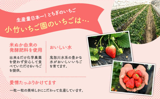 《数量限定》新旧2種食べ比べセット（とちおとめ、とちあいか） 270g×2パック（540g）｜いちご イチゴ 苺 先行予約 栃木県 果物 くだもの フルーツ とちおとめ とちあいか 新鮮 贈答 ギフト 食べ比べ ※2027年1月～発送