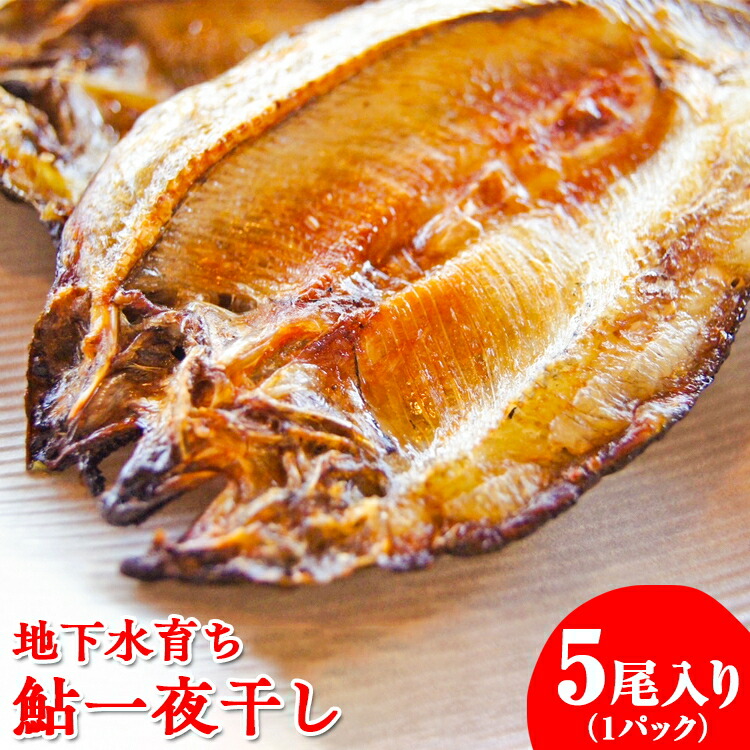 地下水育ち　鮎一夜干し　5尾入り
