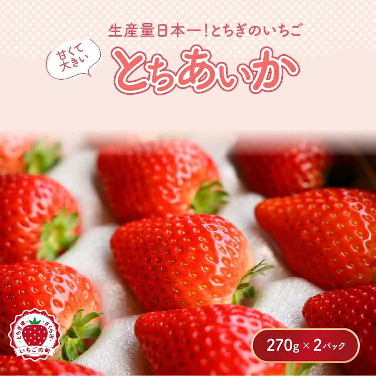 【先行予約】いちご とちあいかセット 270g×2パック（540g）｜いちご イチゴ 苺 先行予約 栃木県 果物 くだもの フルーツ とちあいか 新鮮 贈答 ギフト ※2027年1月～発送