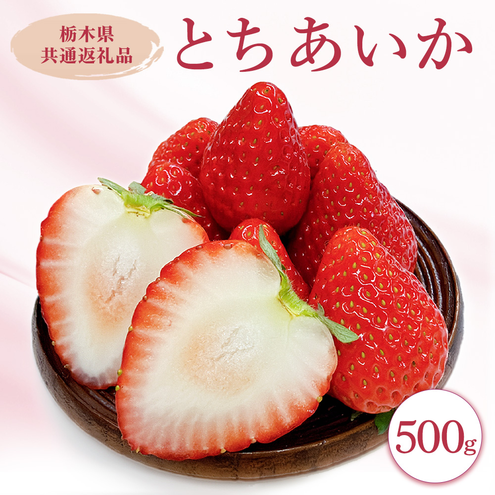 栃木県産とちあいか　500g　イチゴ 苺 栃木県 果物 くだもの フルーツ スイーツ ギフト｜栃木県共通返礼品 栃木県産 ※2027年1月～発送