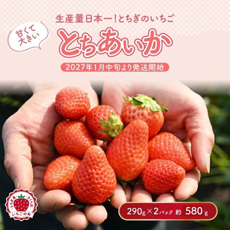 【先行予約】いちご 厳選！さくら市産 とちあいか（290g×2パック） ※2027年1月～発送