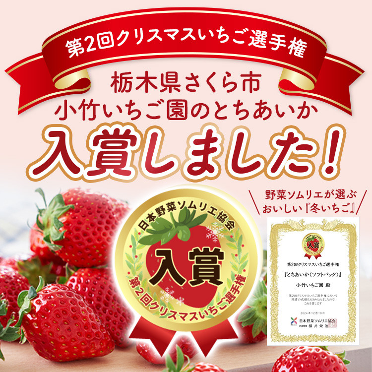 《数量限定》新旧2種食べ比べセット（とちおとめ、とちあいか） 270g×2パック（540g）｜いちご イチゴ 苺 先行予約 栃木県 果物 くだもの フルーツ とちおとめ とちあいか 新鮮 贈答 ギフト 食べ比べ ※2027年1月～発送