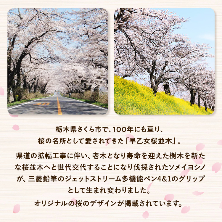 【数量限定】さくら市オリジナル「ジェットストリーム多機能ペン4&1」｜三菱鉛筆　ジェットストリーム　桜　サクラ　ソメイヨシノ　桜並木　文房具　栃木県　合格祈願　プレゼント