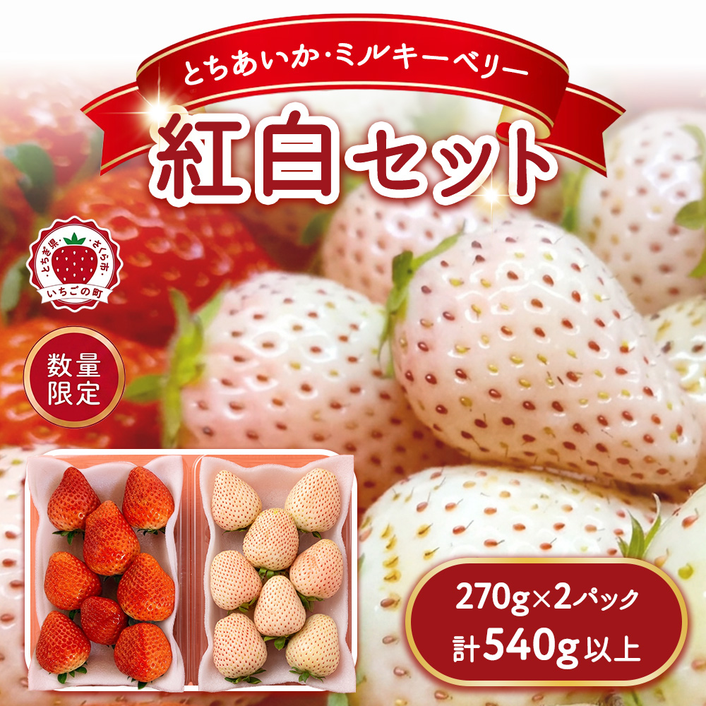 《数量限定》紅白セット（とちあいか・ミルキーベリー） 270g×2パック 540g以上 ｜いちご イチゴ 苺 先行予約 栃木県 果物 くだもの フルーツ デザート とちあいか ミルキーベリー 新鮮 贈答 ギフト 食べ比べ ※2027年1月～発送