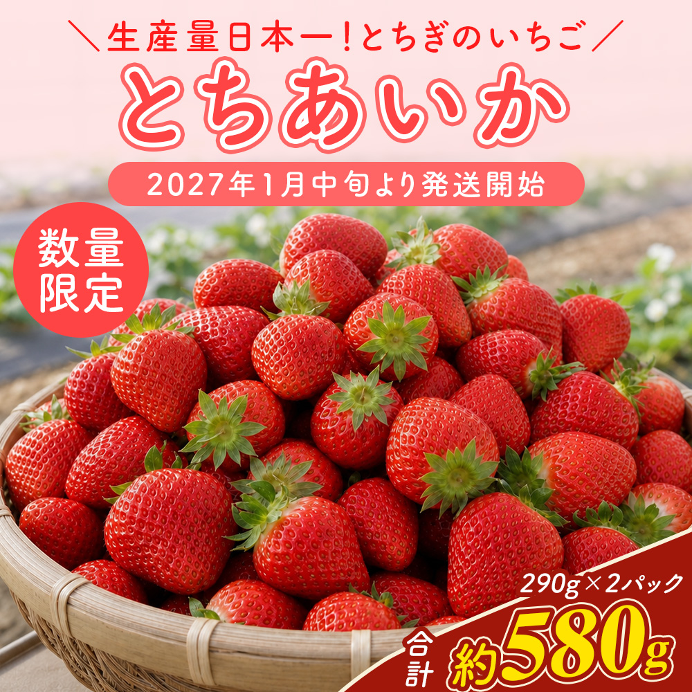 【先行予約】いちご 厳選！さくら市産 とちあいか（290g×2パック） ※2027年1月～発送