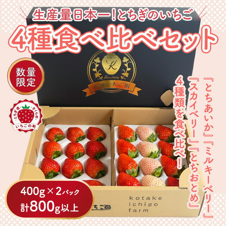 大満足4種食べ比べセット（とちおとめ、ミルキーベリー、とちあいか、スカイベリー）400g×2パック 800g｜いちご イチゴ 苺 先行予約 栃木県 果物 くだもの フルーツ とちおとめ とちあいか スカイベリー ミルキーベリー 新鮮 贈答 ギフト 高級 食べ比べ ※2026年2月上旬?4月中旬頃に順次発送予定