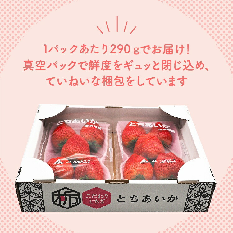 【先行予約】【数量限定】とちあいか 290g×10パック｜いちご イチゴ 苺 先行予約 栃木県 果物 くだもの フルーツ とちあいか 新鮮 贈答 ギフト 食べ比べ 真空パック ※2026年11月～発送