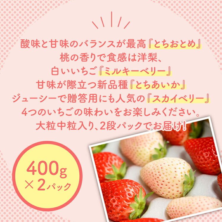 大満足4種食べ比べセット（とちおとめ、ミルキーベリー、とちあいか、スカイベリー）400g×2パック 800g｜いちご イチゴ 苺 先行予約 栃木県 果物 くだもの フルーツ とちおとめ とちあいか スカイベリー ミルキーベリー 新鮮 贈答 ギフト 高級 食べ比べ ※2026年2月上旬?4月中旬頃に順次発送予定